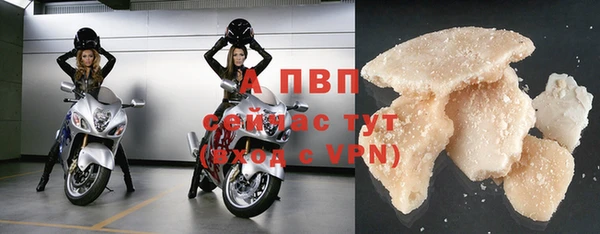 метадон Богданович