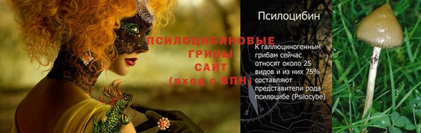 героин Богородицк