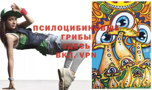 метадон Богданович