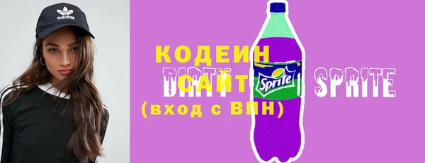 метадон Богданович