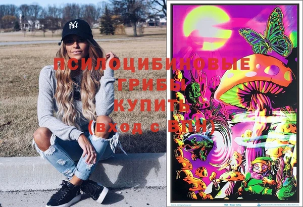 твердый Бронницы