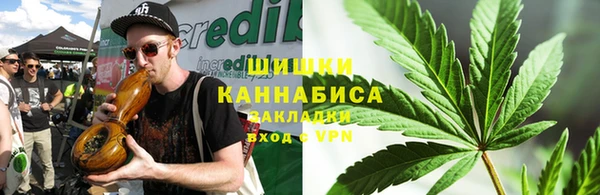 метадон Богданович