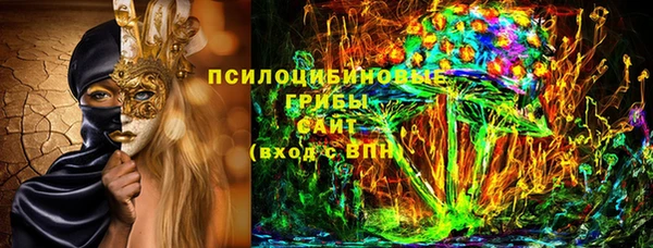 метадон Богданович