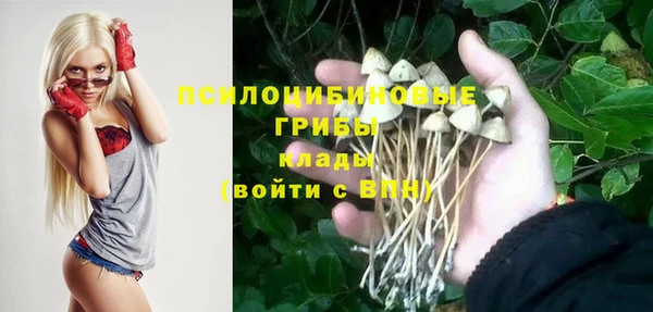 героин Богородицк